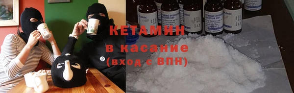 крисы Аркадак