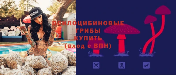 метадон Армянск