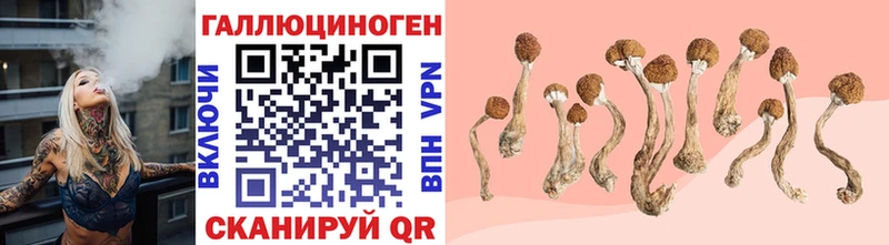 Псилоцибиновые грибы Psilocybe  ОМГ ОМГ ссылка  Фрязино 