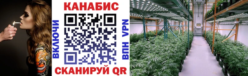 Каннабис White Widow  где найти наркотики  Фрязино 